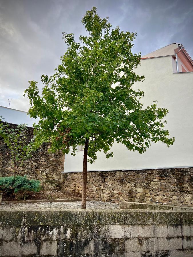 Cantinho Do Castelo ブラガンサ エクステリア 写真
